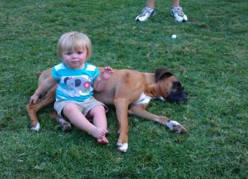 Boxer and small child resting