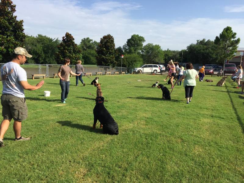 Group class in progress