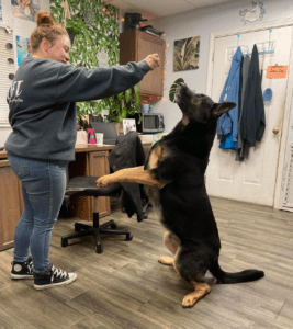 Baer displaying a SIT-beg trick