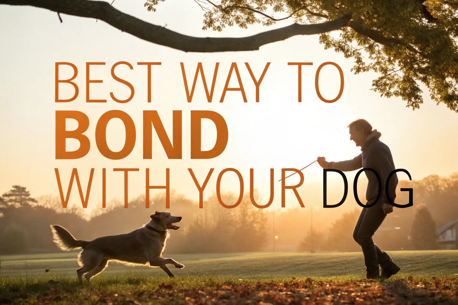 Best Way to Bond With Your Dog