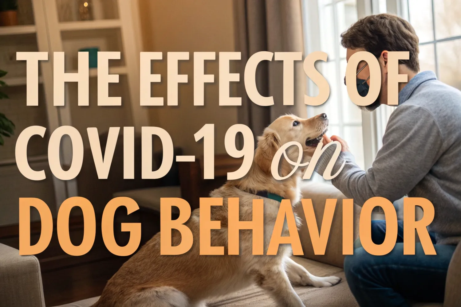 The Effects of COVID-19 on Dog Behavior